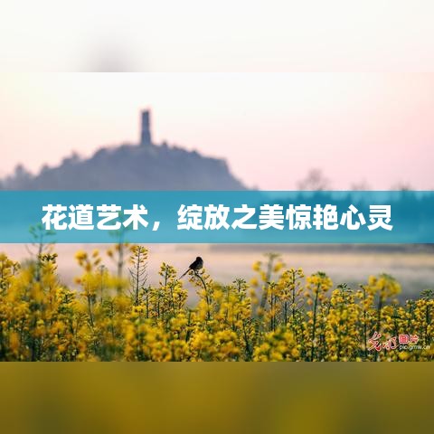 花道艺术,绽放之美惊艳心灵