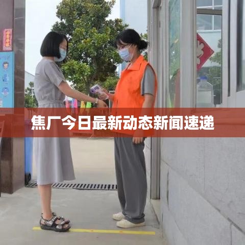 焦厂今日最新动态新闻速递