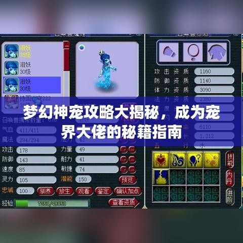 梦幻神宠攻略大揭秘，成为宠界大佬的秘籍指南