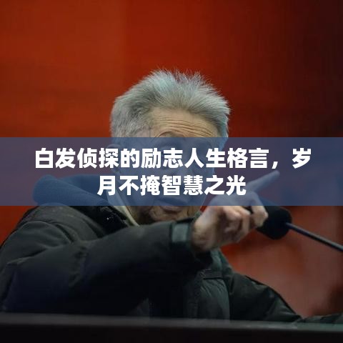 客户留言 第68页