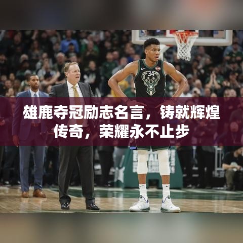 雄鹿夺冠励志名言,铸就辉煌传奇,荣耀永不止步