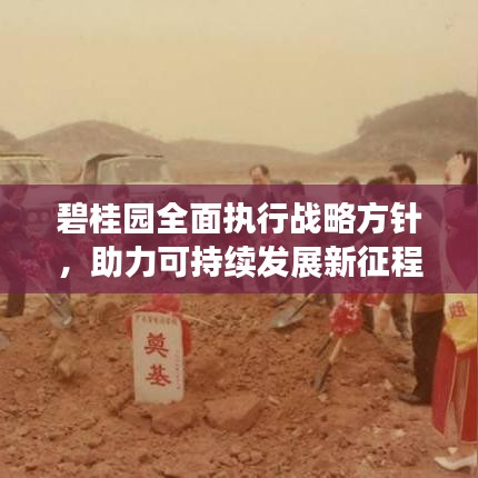 碧桂园全面执行战略方针，助力可持续发展新征程