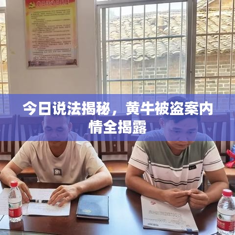 今日说法揭秘,黄牛被盗案内情全揭露