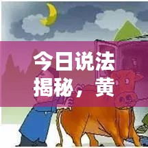 今日说法揭秘,黄牛被盗案内情全揭露
