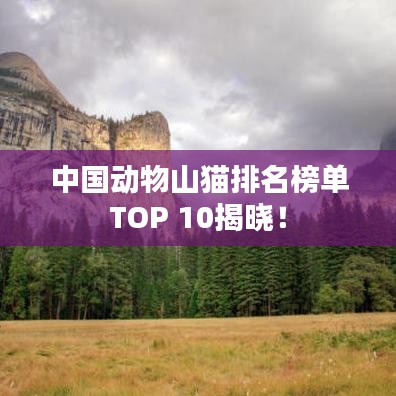 中国动物山猫排名榜单TOP 10揭晓！