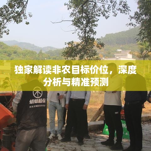 独家解读非农目标价位，深度分析与精准预测