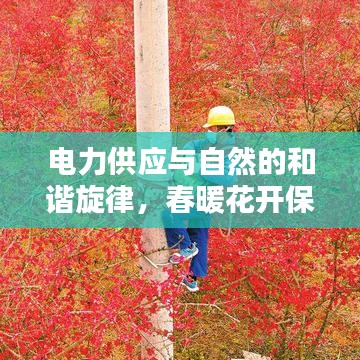 电力供应与自然的和谐旋律,春暖花开保障电力不断供应