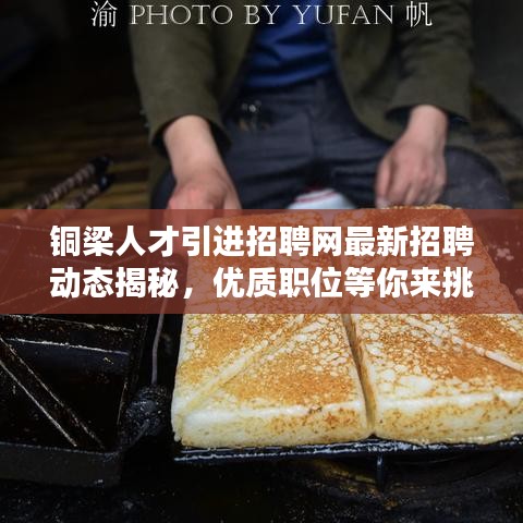 铜梁人才引进招聘网最新招聘动态揭秘,优质职位等你来挑!