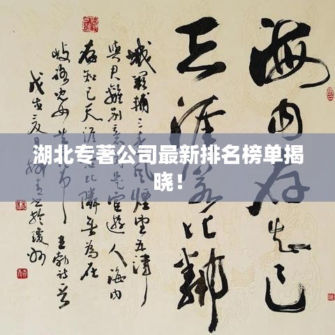 湖北专著公司最新排名榜单揭晓!