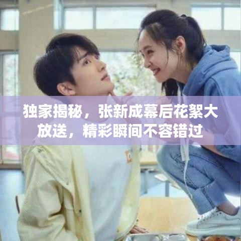 独家揭秘，张新成幕后花絮大放送，精彩瞬间不容错过