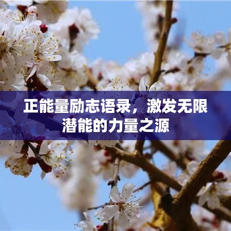 正能量励志语录,激发无限潜能的力量之源