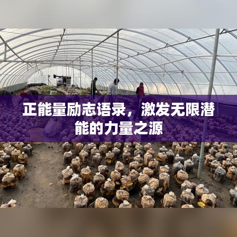 正能量励志语录,激发无限潜能的力量之源