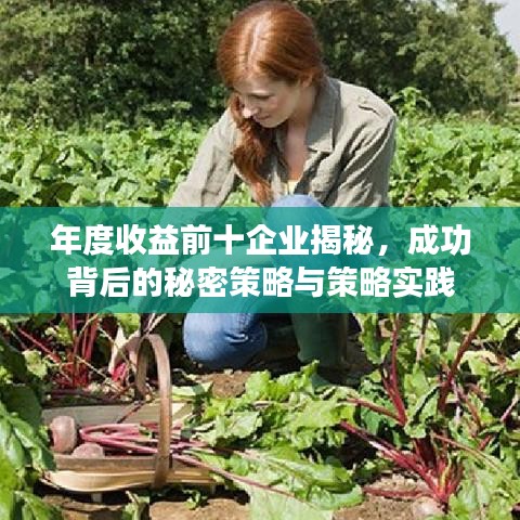 年度收益前十企业揭秘，成功背后的秘密策略与策略实践