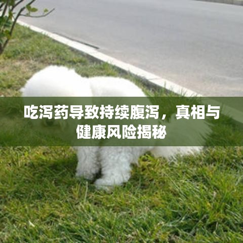 吃泻药导致持续腹泻，真相与健康风险揭秘