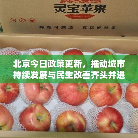 北京今日政策更新，推动城市持续发展与民生改善齐头并进