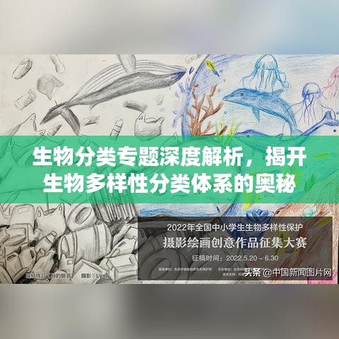 生物分类专题深度解析，揭开生物多样性分类体系的奥秘