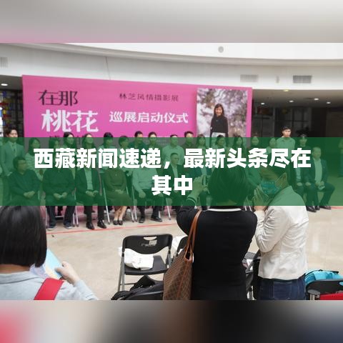 空前绝后 第7页