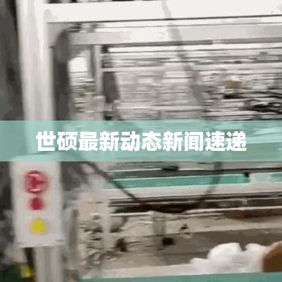 世硕最新动态新闻速递