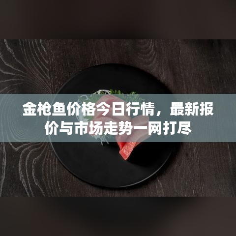 金枪鱼价格今日行情,最新报价与市场走势一网打尽