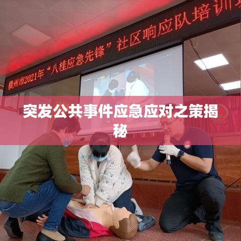 突发公共事件应急应对之策揭秘