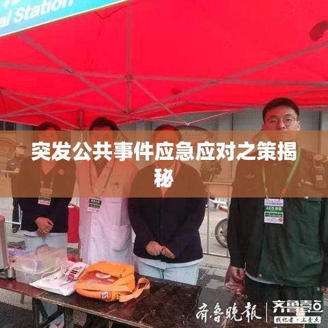 突发公共事件应急应对之策揭秘