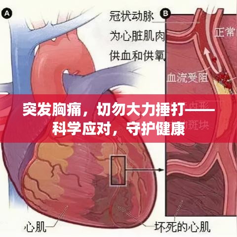 突发胸痛,切勿大力捶打——科学应对,守护健康