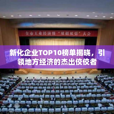 新化企业TOP10榜单揭晓，引领地方经济的杰出佼佼者