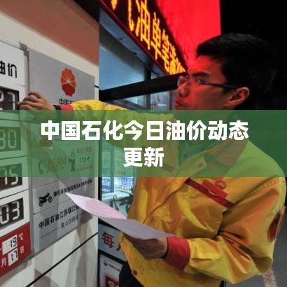 中国石化今日油价动态更新