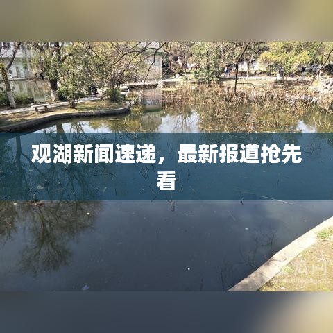 观湖新闻速递,最新报道抢先看