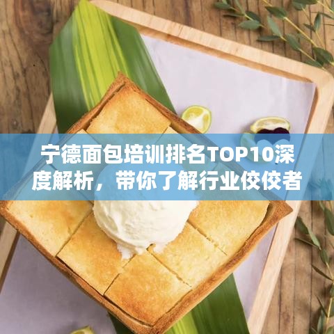 宁德面包培训排名TOP10深度解析，带你了解行业佼佼者