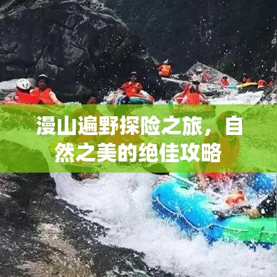 漫山遍野探险之旅,自然之美的绝佳攻略