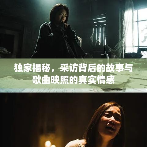 独家揭秘,采访背后的故事与歌曲映照的真实情感