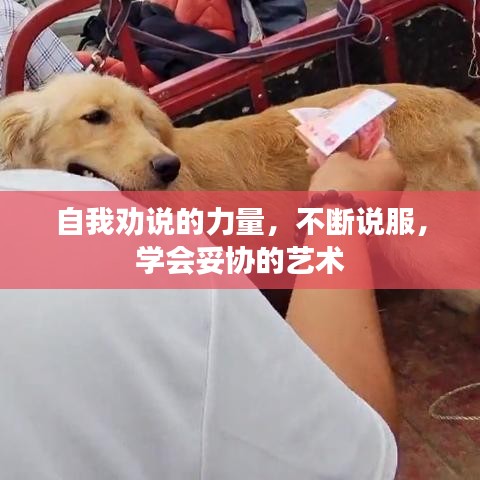 自我劝说的力量,不断说服,学会妥协的艺术