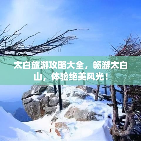 太白旅游攻略大全，畅游太白山，体验绝美风光！