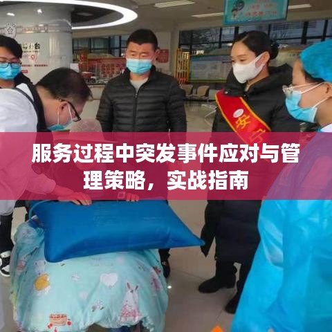 服务过程中突发事件应对与管理策略，实战指南