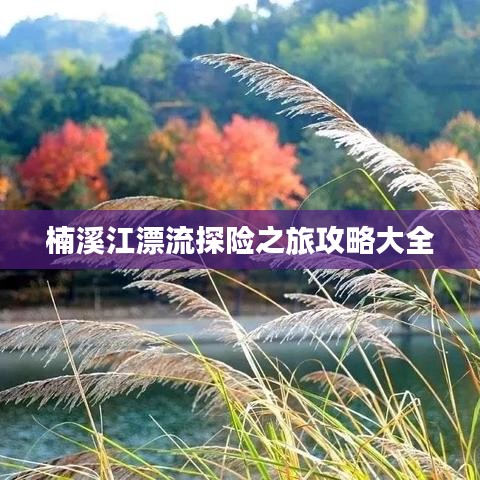 楠溪江漂流探险之旅攻略大全