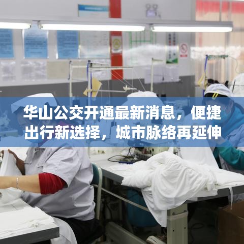 华山公交开通最新消息，便捷出行新选择，城市脉络再延伸