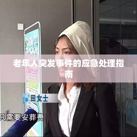 喷涂前处理 第71页