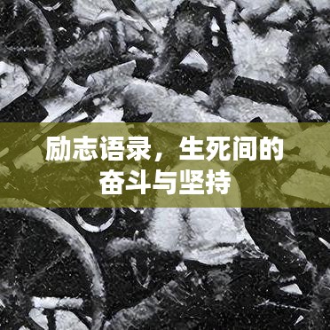 励志语录，生死间的奋斗与坚持