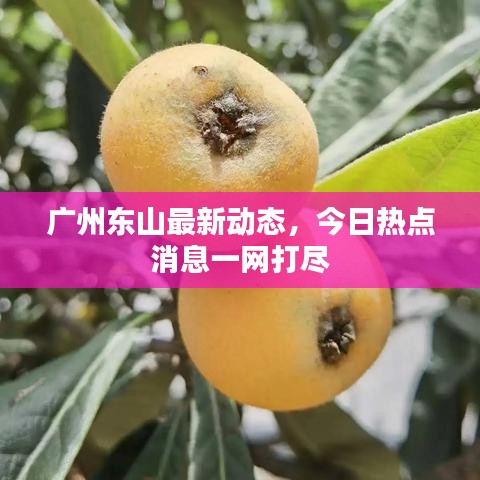 广州东山最新动态,今日热点消息一网打尽