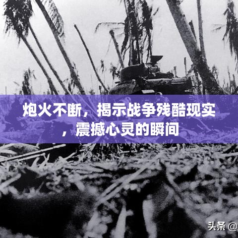 炮火不断,揭示战争残酷现实,震撼心灵的瞬间