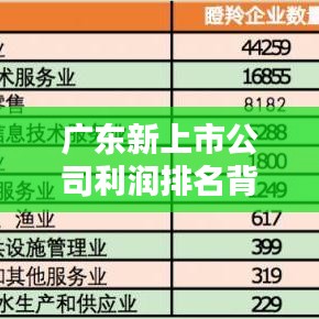 广东新上市公司利润排名背后的投资机遇与挑战揭秘