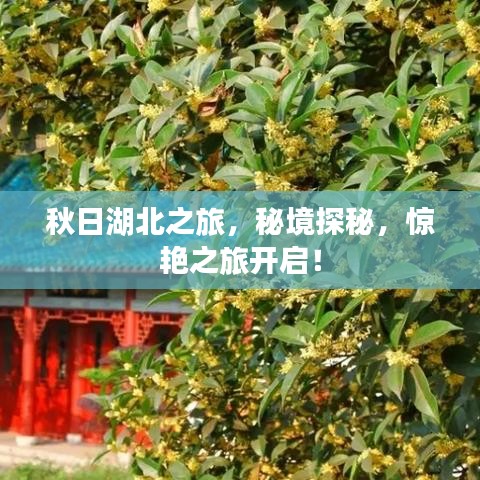 秋日湖北之旅，秘境探秘，惊艳之旅开启！