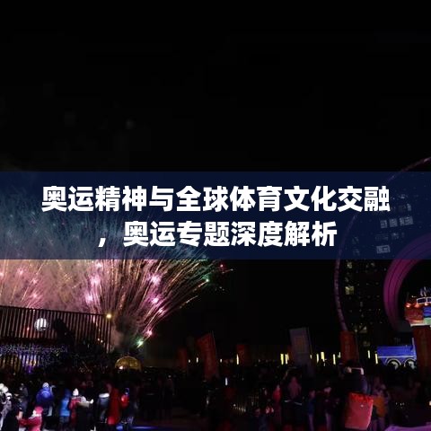 奥运精神与全球体育文化交融，奥运专题深度解析