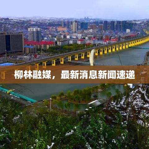 柳林融媒,最新消息新闻速递