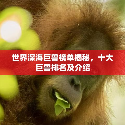 世界深海巨兽榜单揭秘,十大巨兽排名及介绍