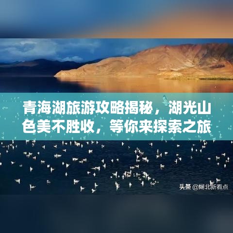 青海湖旅游攻略揭秘,湖光山色美不胜收,等你来探索之旅!