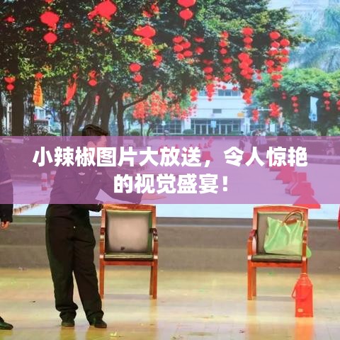 小辣椒图片大放送，令人惊艳的视觉盛宴！