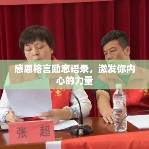 感恩格言励志语录,激发你内心的力量