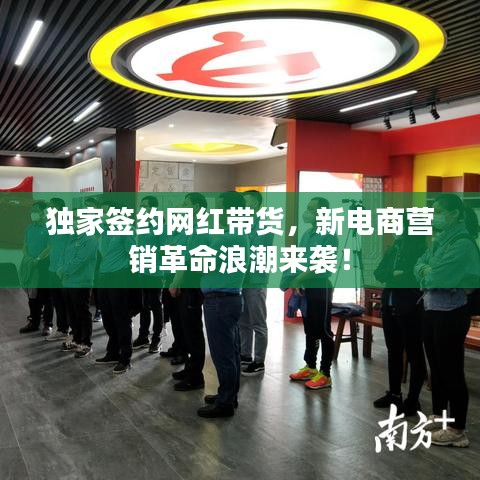 独家签约网红带货,新电商营销革命浪潮来袭!